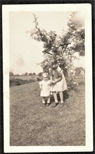 Vintage Antique Photograph Little Girl Standing W/ Baby In Yard