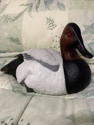 Ducks Unlimited Special Edition 1996 - 97 Canvasback Drake Duck Decoy Medallion