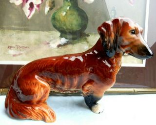 Large Vintage Goebel Dog Figurine Dachshund Long Haired 8 1/2  Tall And 12  Long