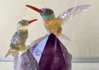 Hummingbird Banded Fluorite on Amethyst Crystal 5 