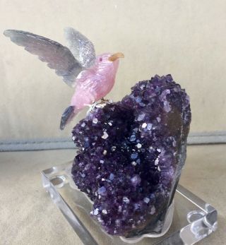 Rose Quartz/ Fluorite Hummingbird on Amethyst 4 1/4  