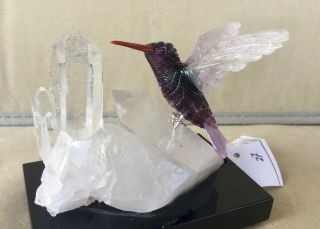 Fluorite / Amethyst Hummingbird On Quartz Crystal 4 " - Peter Muller
