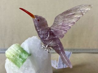 Amethyst Hummingbird on Tourmaline in Quart 4 1/4 