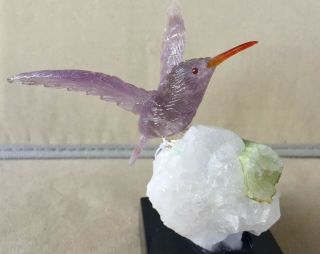 Amethyst Hummingbird on Tourmaline in Quart 4 1/4 