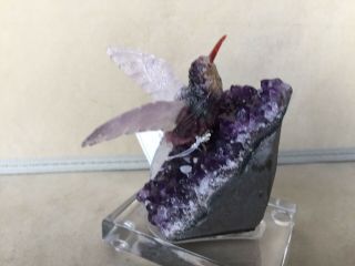 Fluorite Hummingbird on Tourmaline in Amethyst Base 4 1/2 