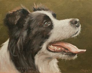 Border Collie Dog Portrait Oil Painting By Master Artist John Silver Ba