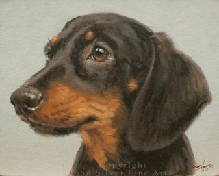 Dachshund Dog Portrait Oil Painting By Master Artist John Silver Ba
