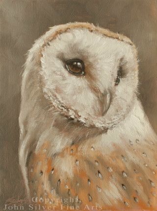 Barn Owl Oil Painting By Award Winning Uk Master Artist John Silver Ba