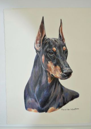 Signed Marcia Van Woert Doberman Dog Artwork Drawing