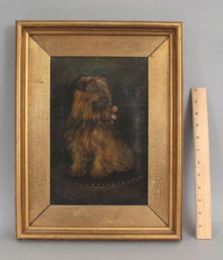 Antique American Folk Art Oil Painting,  Norfolk Terrier Dog,  Gilt Oak Frame