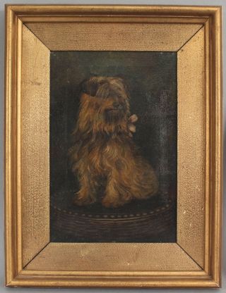 Antique American Folk Art Oil Painting,  Norfolk Terrier Dog,  Gilt Oak Frame 2