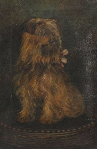 Antique American Folk Art Oil Painting,  Norfolk Terrier Dog,  Gilt Oak Frame 3