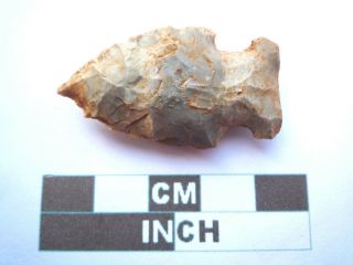 Native American Arrowhead 42mm,  Archaic Artifact,  1000bc - 8000bc (y018)
