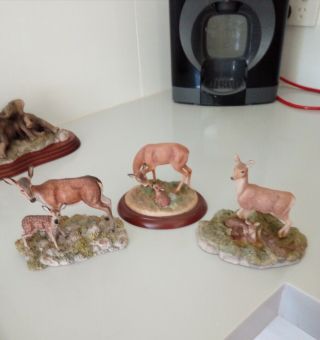 Border Fine Arts " Deer And Baby " Figurines - 3 Different (small 5 Inches Aprox)