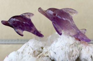 Amethyst Dolphin Pair on Tourmaline in Albite 5 1/2 