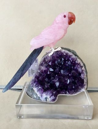 Large Rose Quartz And Fluorite Macaw On Amethyst 9 3/4  - Peter Muller
