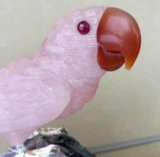 Large Rose Quartz and Fluorite Macaw on Amethyst 9 3/4  - Peter Muller 2