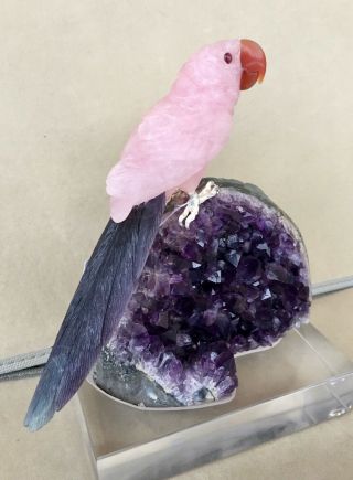 Large Rose Quartz and Fluorite Macaw on Amethyst 9 3/4  - Peter Muller 3