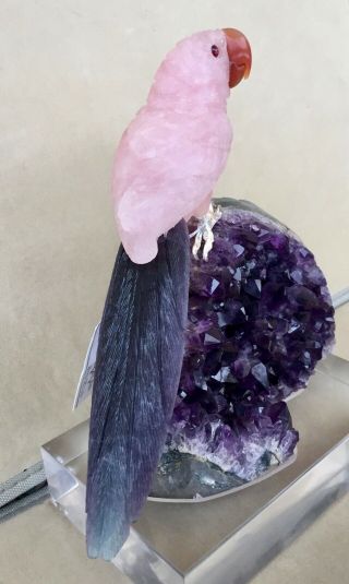 Large Rose Quartz and Fluorite Macaw on Amethyst 9 3/4  - Peter Muller 5