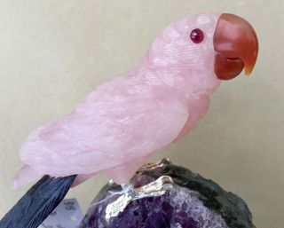 Large Rose Quartz and Fluorite Macaw on Amethyst 9 3/4  - Peter Muller 6