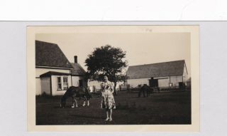 Cavendish,  Prince Edward Island,  1944 Snapshot Photo Of Woman/horses Last List
