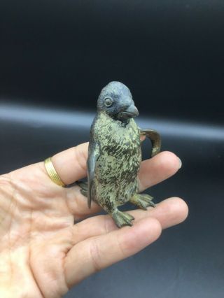 Antique cold painted Vienna Bronze of a Penguin 2