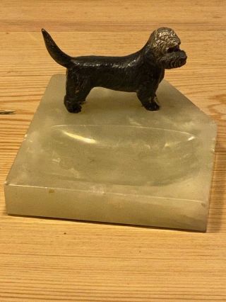 Antique Large Cold Painted Austrian Bronze Dandie Dinmont Terrier Dog 1930