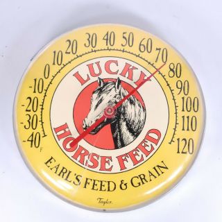 Vintage 12 " Lucky Horse Feed From Earl 