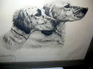 Leon Danchin French Artist Signed Colored Etching Framed.  English Setter 23 " X26 "