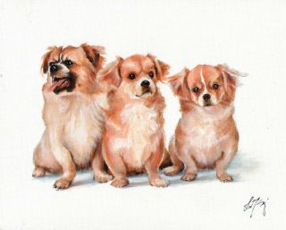 Oil Art Tibetan Spaniel Portrait Painting Puppy Dog Artist Signed