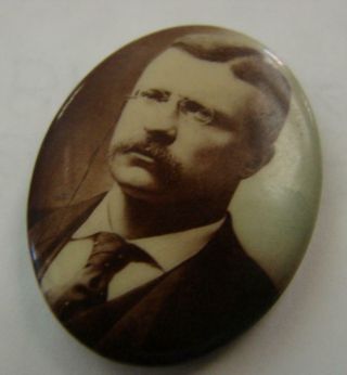 1904 Teddy Roosevelt President Campaign Button Political Pinback