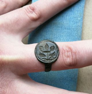 Ancient Viking Old Bronze Fabulous Status Ring Runic Ornament " Plant " Very Rare
