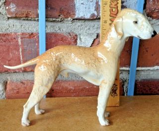 Vintage Nymphenburg Porcelain Bedlington Terrier - The Elusive Liver Color