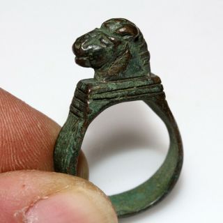 Museum Quality Ancient Roman Bronze Ring Depicting A Horse Head On The Top Ca 10