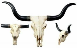 Long Horn Bison Skull Head Bust Wall Hanging Figurine Home Decor Plaque 27 