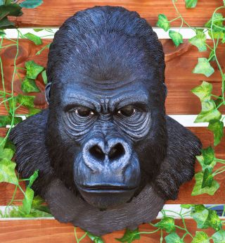Large African Gorilla Ape Head Wall Hanging Figurine Decor Plaque 16.  5 Inch H