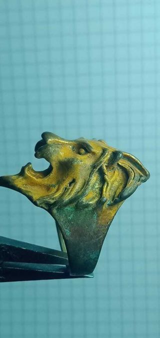 Extremely Ancient Brass Ring Lion Head Roman Legionary Artifact Authentic