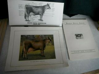 Vintage Brown Swiss Dairy Cow Fact Figure 1939 Score Card & Picture Poster