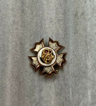 Sigma Nu Epsilon Tau Tau Fraternity Pin