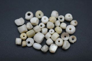 Group Of Ancient Romano - Egyptian Shell And Stone Beads 1st Century Ad