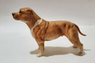Royal Doulton Staffordshire Bull Terrier Dog - Tan White Gloss China