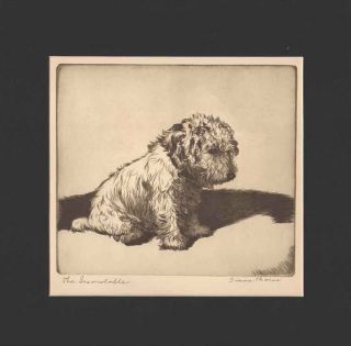 Sealyham Terrier Dog Print The Inconsolable 1935 / Diana Thorne Black Mat 12x12