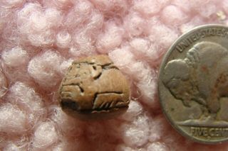 Ancient Manabi Pre - Columbian Puma Ceramic Spindle Whorl Bead 500bc - 500ad Ecuad