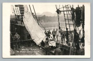 Whale Blubber On Ship Alaskan Whaling Antique Kodiak Rppc Photo Postcard 1920s