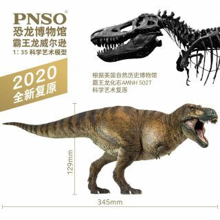 Pnso 1/35 Wilson Tyrannosaurus Rex Figure Dinosaurs Museum Scientific Art Model