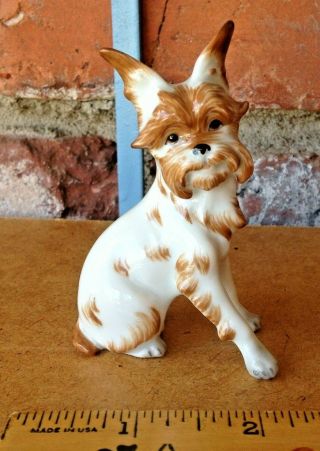 Vintage Royal Vienna Affenpinscher - The Colorful Little Monkey Dog