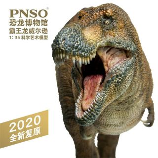 PNSO 1/35 Wilson Tyrannosaurus Rex Figure Dinosaurs Museum Scientific Art Model 2