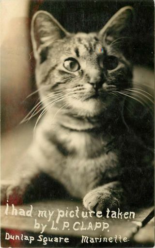 C1910 Rppc; Tabby Cat Had Photograph Taken By Lp Clapp,  Marinette Wi Advertising