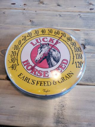 Vtg Lucky Horse Feed Colorful Advertising Thermometer Sign Earl 