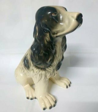 Large Life Size Vintage Italian Ceramic Dog Sculpture Statue Springer Spaniel 3